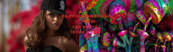 шишки Киреевск