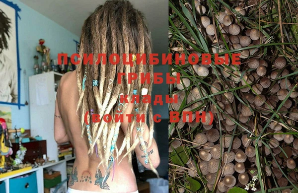 шишки Киреевск